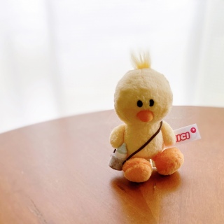 �Z���A�Ƀ~�j�`���A�F�X����